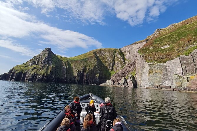 Blasket Island Sea Life Rib Tour, - Wildlife Watching That Feels Personal, Not Random