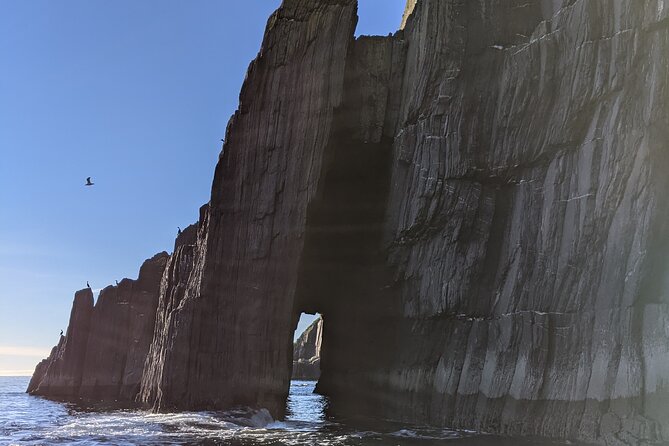 Boat Tour of Dingle Peninsula - Dolphins: How to Maximize Your Chances Without Losing Your Mind