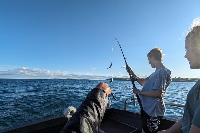 Boat Tour of Kinsale Harbour and Bandon River - Quick Highlights