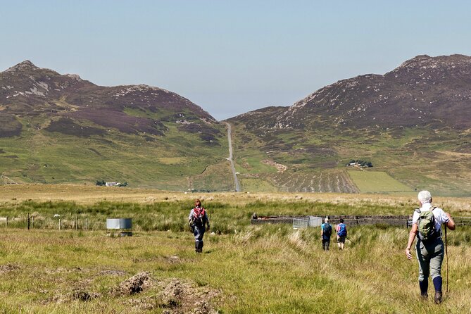 Bog Safari Hike - Key Highlights You’ll Care About