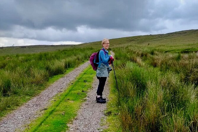 Bog Safari Hike - Price and What You Actually Get for Around $50.60
