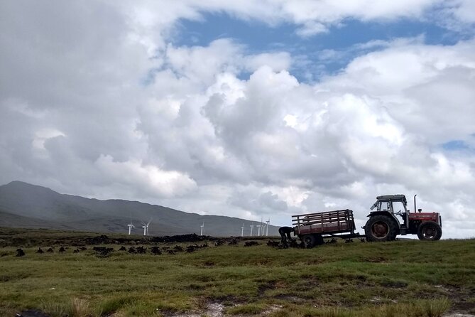 Bog Safari Hike - Wild Atlantic Way Peatland Walk: The Part You’ll Remember