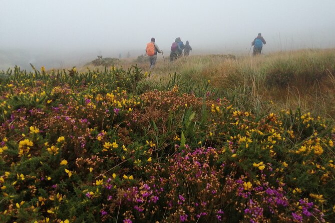 Bog Safari Hike - Turf Cutting, Daily Life, and That Extra Personal Moment