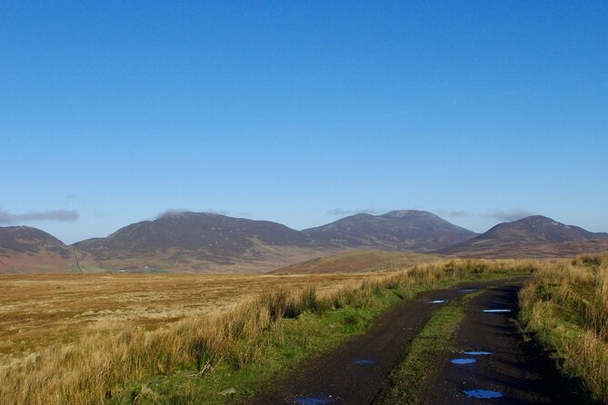 Bog Safari Hike - Panoramic Wild Atlantic Way Views That Feel Off the Beaten Path