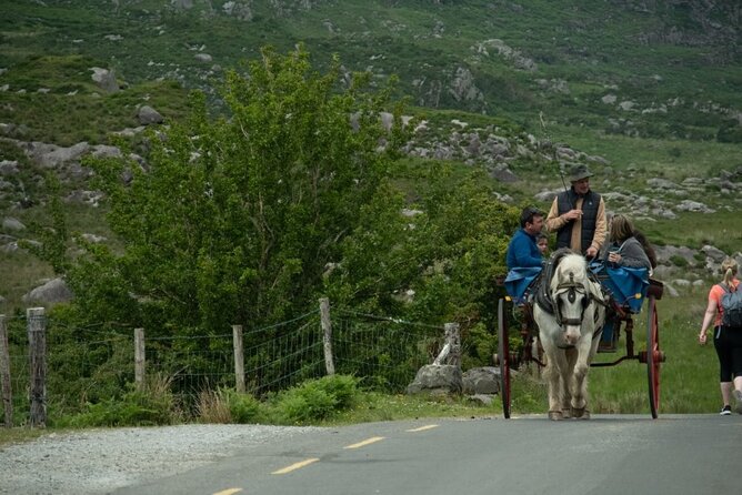 Bus, Boat & Jaunting Cart Tour (Jaunting Cart Paid Separately) - Weather, timing, and why rain changes the experience