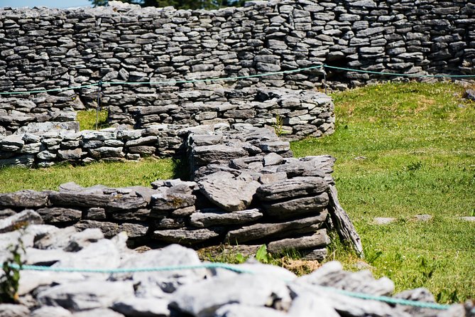 Caherconnell Fort & Sheepdog Demonstrations - Sheepdog Demonstrations: Border Collies, Farmers, and a Covered Viewing Plan