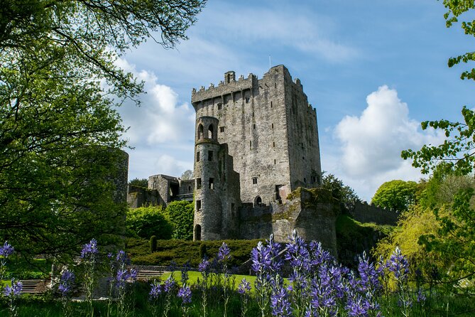 Chauffeur Blarney and Cork Private Day Tour from Dublin - Rock of Cashel in about 45 minutes: big impact, tight timing