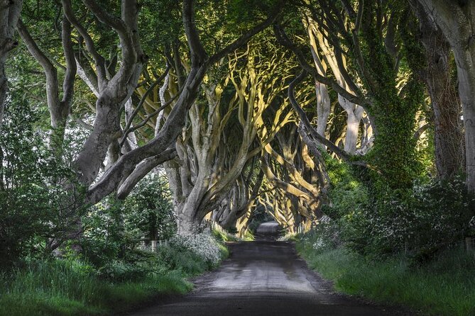 Chauffeur Giants Causeway & Belfast Private Day Tour From Dublin - Key Highlights You Actually Feel During the Day