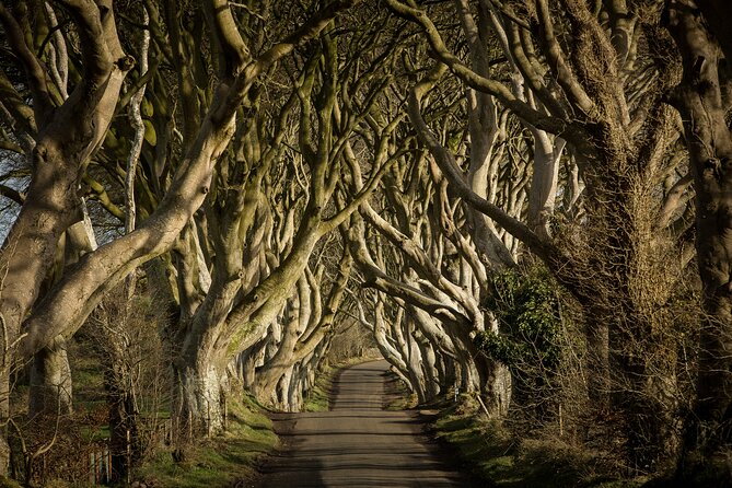 Chauffeur Giants Causeway & Belfast Private Day Tour From Dublin - Should You Book This Chauffeur Giants Causeway and Belfast Day Trip?