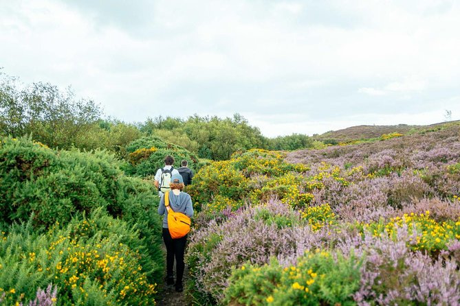 City Explorer: Howth Private Day Trip - From Dublin to Howth: how the 6-hour flow feels