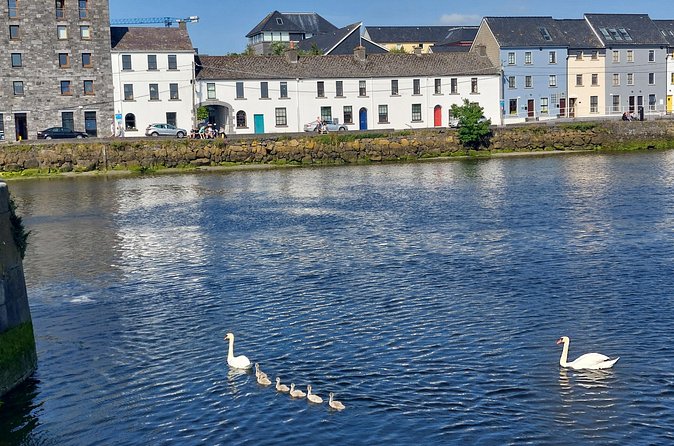 Claddagh Guided Walking Tour in Galway with Free Claddagh Ring - Price, timing, and group size: what you can expect on the day