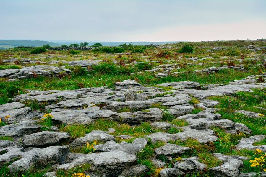 Cliffs of Moher and Blarney 2-Day Tour from Dublin - Price and what you actually get for $226