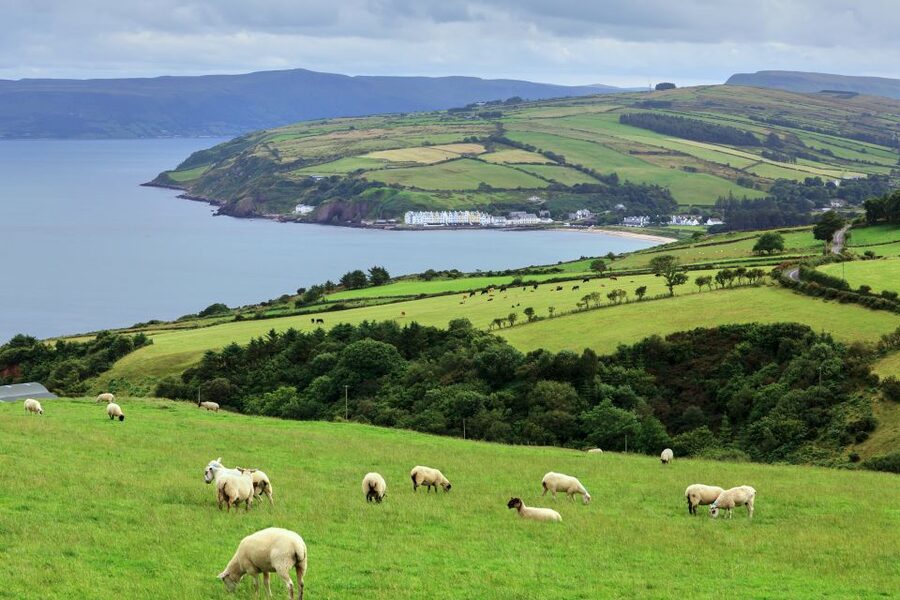 Cliffs of Moher and Blarney 2-Day Tour from Dublin - The Burren: walking on a geology that feels out of place