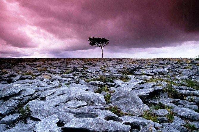 Cliffs of Moher, Aran Island & Burren tour from Galway. Guided. - The schedule that matters: Galway departures and timing pressure