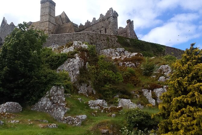 Cliffs of Moher & Bunratty Castle Day Tour - Meet Niall Cleary and get a tour that runs like a plan, not chaos
