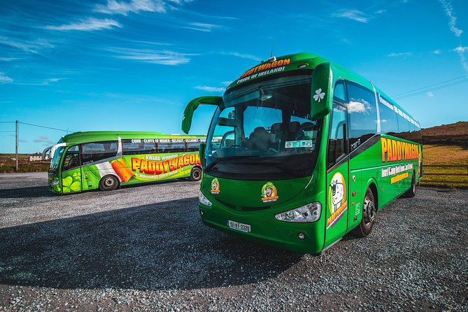 Cliffs of Moher Day Tour from Limerick: Wild Atlantic Way - Limerick to County Clare: King John’s Castle and Shannon views