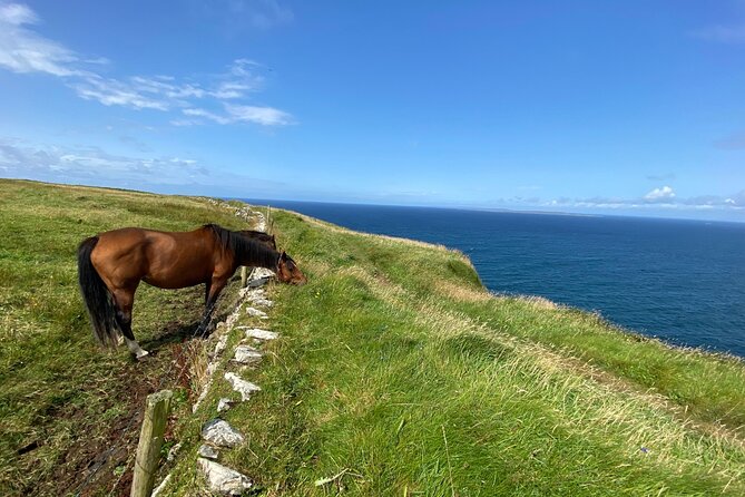 Cliffs of Moher Hiking Tour from Galway - Small Group - The Visitor Center Time That Completes the Picture