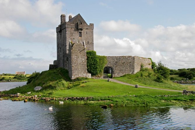 Cliffs of Moher Private Award Winning Luxury Mercedes Car Tour - Cliffs of Moher: your best odds for sea birds and big Atlantic views