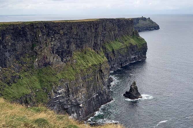 Cliffs of Moher & Sheepdog Demonstrations from Galway - Newtown Castle and the Burren College of Art Stop