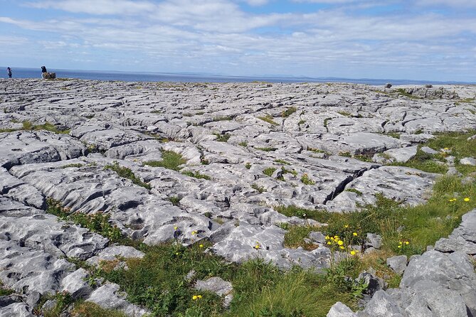 Cliffs of Moher & Sheepdog Demonstrations from Galway - Poulnabrone Dolmen: A Short Visit to Something 5,000+ Years Old