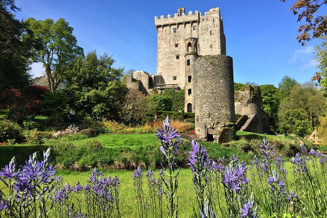Cobh (Cork) to Blarney Castle & Kinsale - Shore Excursion - Timing reality check: eight hours, multiple towns, and your energy