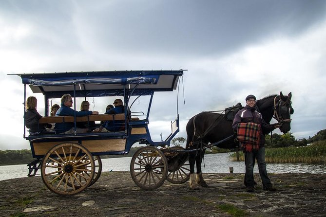 Combination Killarney Jaunting Car Tour and Lakes of Killarney Cruise - Price and value for $84.48: what you’re really paying for
