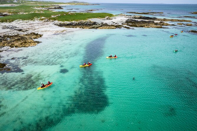 Connemara Coastal kayaking - Wildlife spotting and local sea-life stories that stick