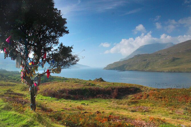 Connemara Day Trip Including Leenane Village and Kylemore Abbey from Galway - Connemara National Park Drive-By Stops and Spiddal’s Seaside Switch