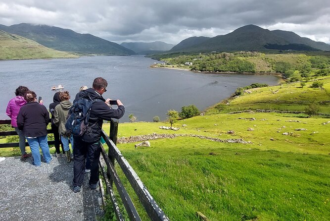 Connemara Sheep Farm experience & Kylemore Abbey by Lux Limousine - A private Galway day that blends wow views with real daily life