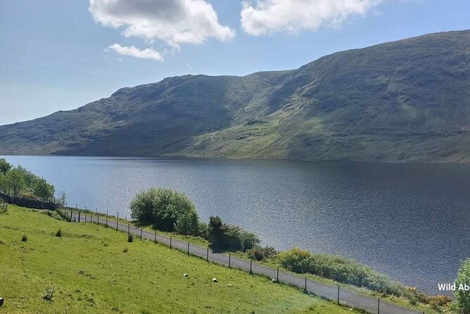 Connemara Sheep Farm experience & Kylemore Abbey by Lux Limousine - Killary Sheep Farm: practical farm life and sheepdog work, not a staged demo