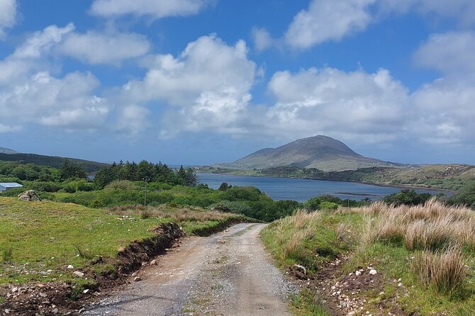 Connemara Sheep Farm experience & Kylemore Abbey by Lux Limousine - Price and value: what you’re really paying for