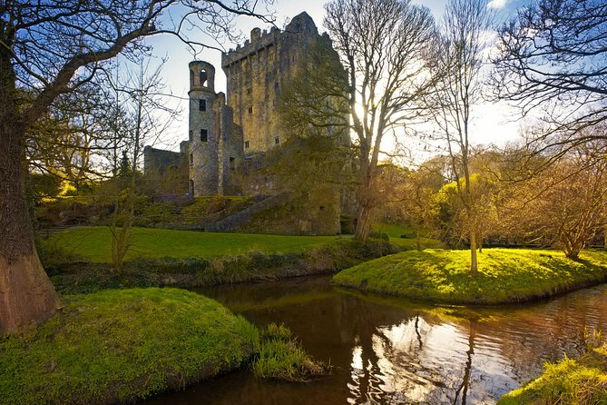 Cork and Blarney Castle Visit from Cobh by Train - Price and Value: What $122.81 Really Buys