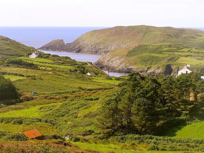 Cork: Fastnet Rock Lighthouse and Cape Clear Island Tour - Standing Stones, Tower Views, and the Island’s Best Lookouts