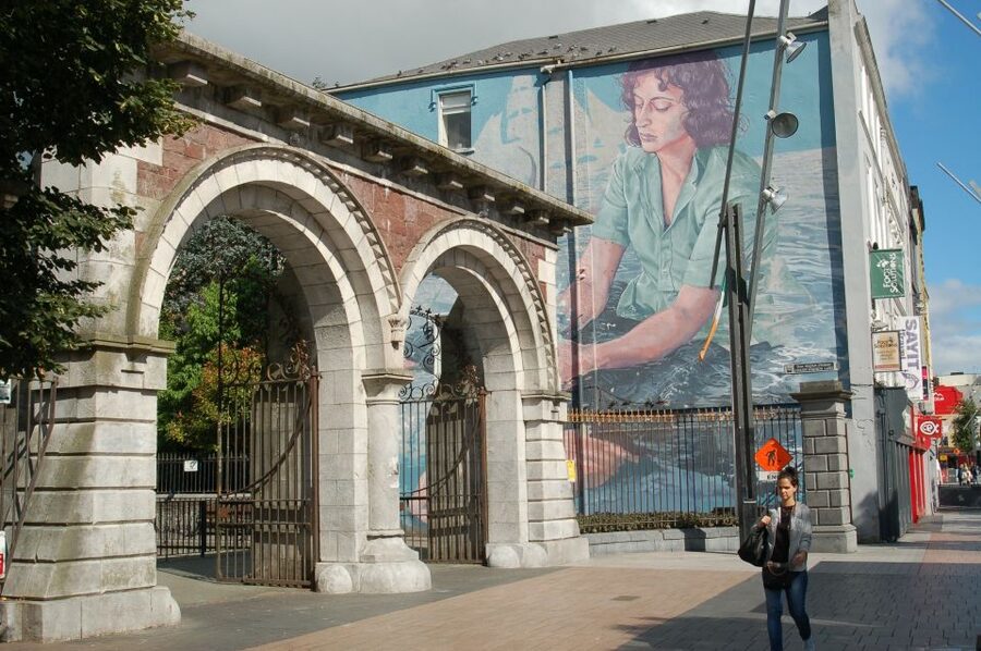 Cork: Guided Historical Walking Tour - Coal Quay, Cornmarket Street, and Grand Parade: the port city in street form