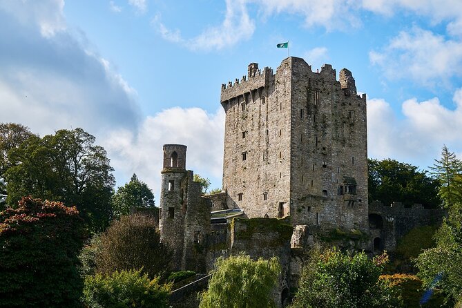 Cork Private Walking Tour With A Professional Guide - Private guide, real questions: what one-group-only changes