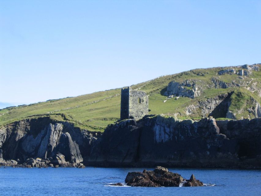 County Cork: Whale & Dolphin Watching Boat Trip - Key highlights to know before you go