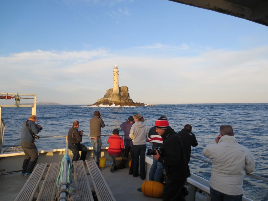 County Cork: Whale & Dolphin Watching Boat Trip - What to bring for comfort and better spotting