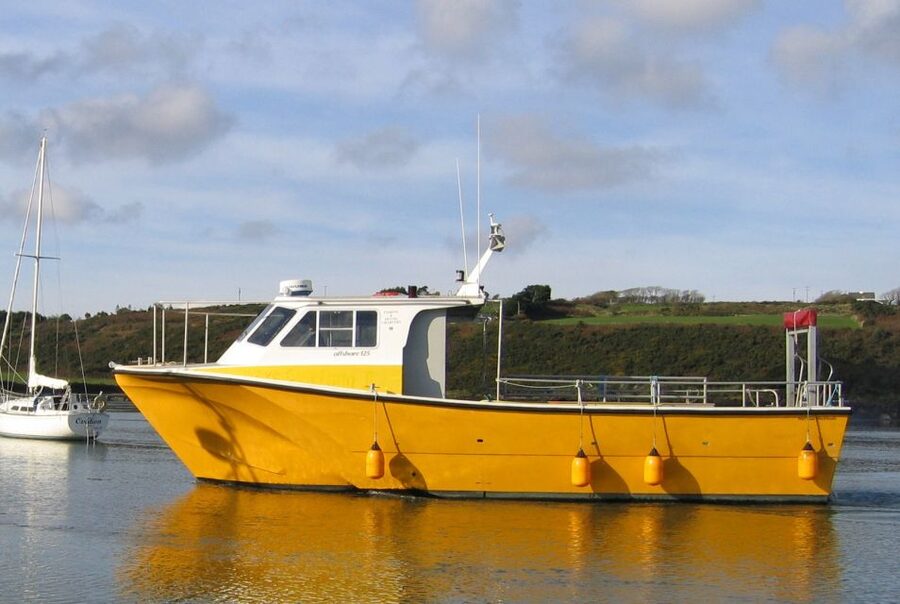 County Cork: Whale & Dolphin Watching Boat Trip - What you’re actually looking for: dolphins, seals, and whales