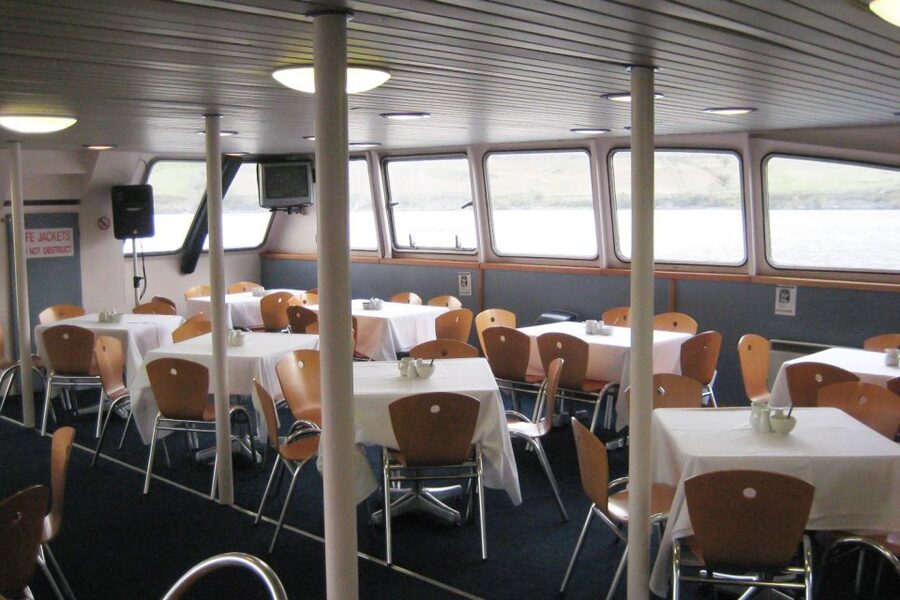 County Galway Killary Fjord 1.5-Hour Sightseeing Cruise - Six Things You’ll Notice on the Killary Fjord Cruise
