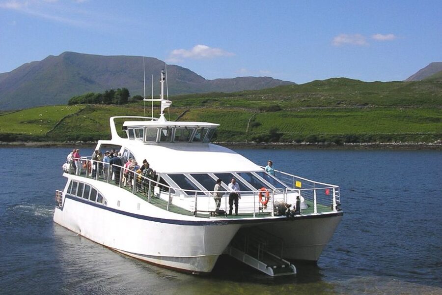 County Galway Killary Fjord 1.5-Hour Sightseeing Cruise - Boarding at Nancys Point in Leenane, County Galway