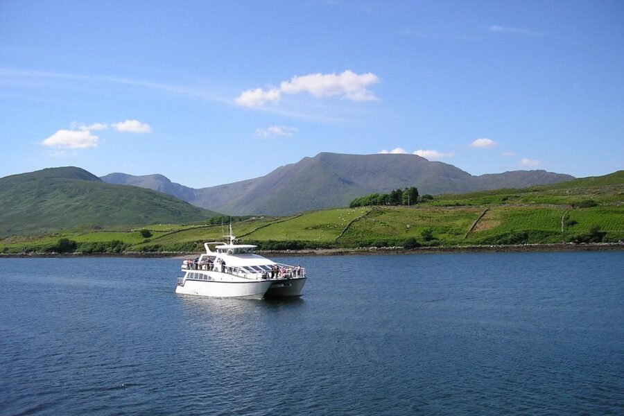 County Galway Killary Fjord 1.5-Hour Sightseeing Cruise - Stop 2 and Stop 3: The Outbound Viewing and Return Loop