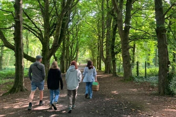 Courtown Woodland Guided Tour - Courtown Woodland with Lorraine: a gentle, story-rich 2.5-hour walk