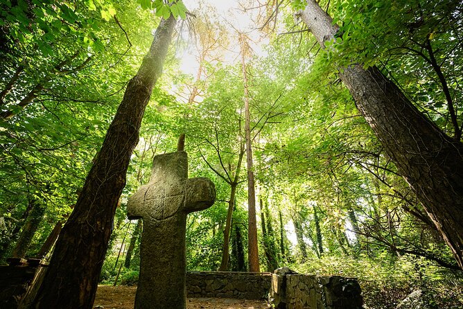 Courtown Woodland Guided Tour - Meeting at Forest Park, Ballinatray Lower, and what the day feels like