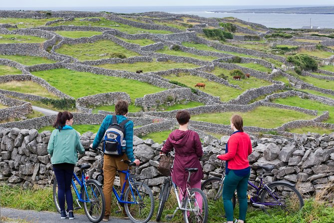 Cycling Inishmore Island. Aran Islands. Self-guided. Full day. - Why Inishmore by Bike Feels Like the Right Shortcut