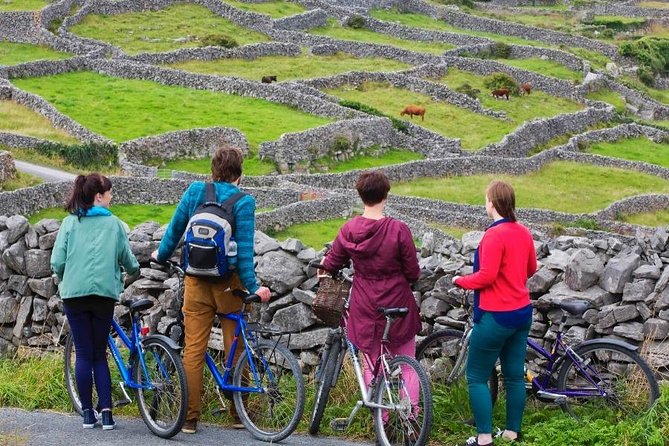 Cycling on Inisheer Island, Aran Islands. Self Guided. Full Day. - Lighthouse and the Plassy Shipwreck: Where the Bike Ends and Wonder Starts