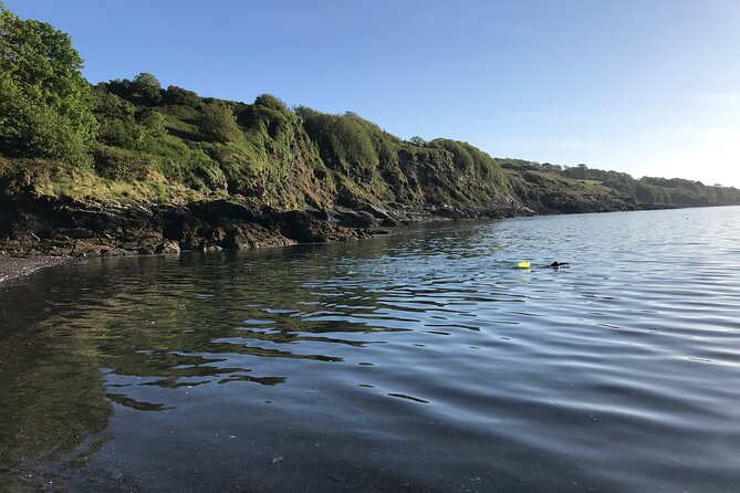 Dawn Pilgrimage and Swim in West Cork - Weather and cold-water reality, without sugarcoating