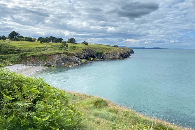Day Tour from Dublin to Wicklow: Cliffs, Heritage, Wildlife, Gaol - Key things to know before you go