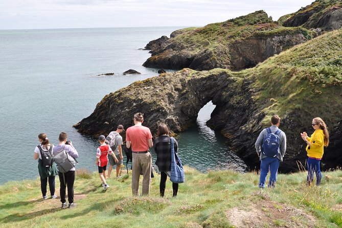 Day Tour from Dublin to Wicklow: Cliffs, Heritage, Wildlife, Gaol - Wicklow Town in 4 hours: Vikings, St Patrick, Norman ruins, and Vartry views