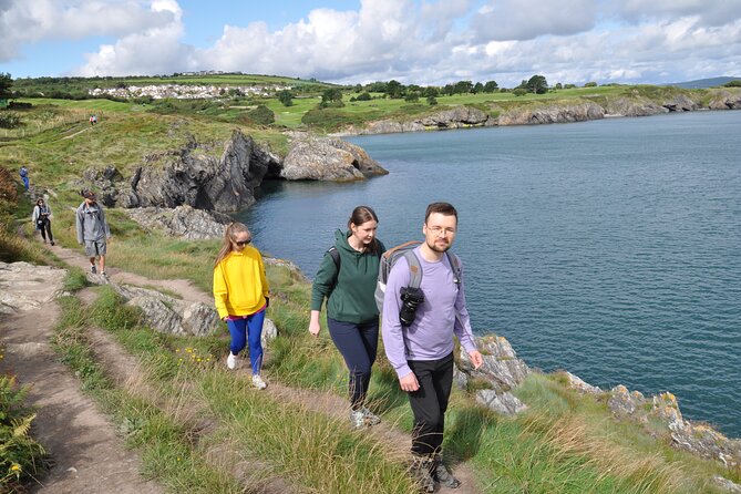 Day Tour from Dublin to Wicklow: Cliffs, Heritage, Wildlife, Gaol - Wicklow Gaol: plan for the ticket you pay separately