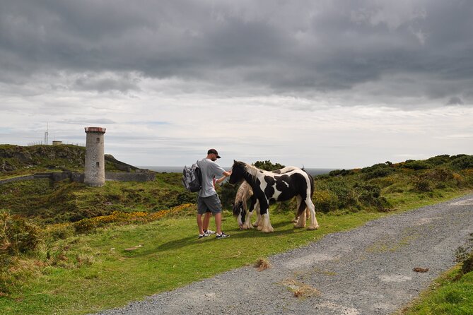 Day Tour from Dublin to Wicklow: Cliffs, Heritage, Wildlife, Gaol - Price and value: what $781 per group really covers